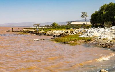 14-Day Southern Ethiopia Tour: Omo Tribes & Rift Valley Adventure