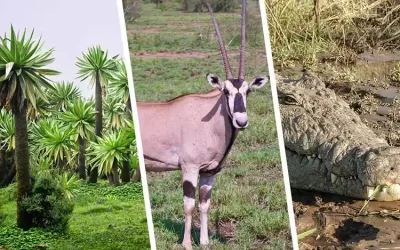 29 Days Grand Tour of Northern, Eastern and Southern Ethiopia