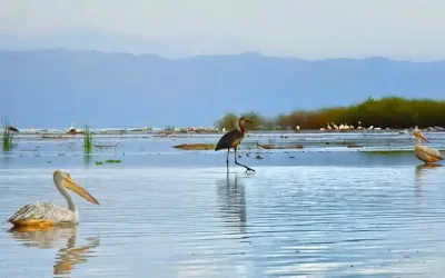 7-Day Omo Valley Cultural Tour from Addis Ababa