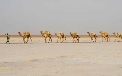 Danakil Depression, Erta Ale & Gheralta Mountain Tours – 7 Days