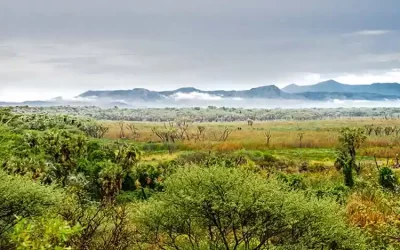 5 Days Awash National Park Safari & Harar City Tours