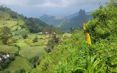 6 Days Simien Mountains Trekking Tours